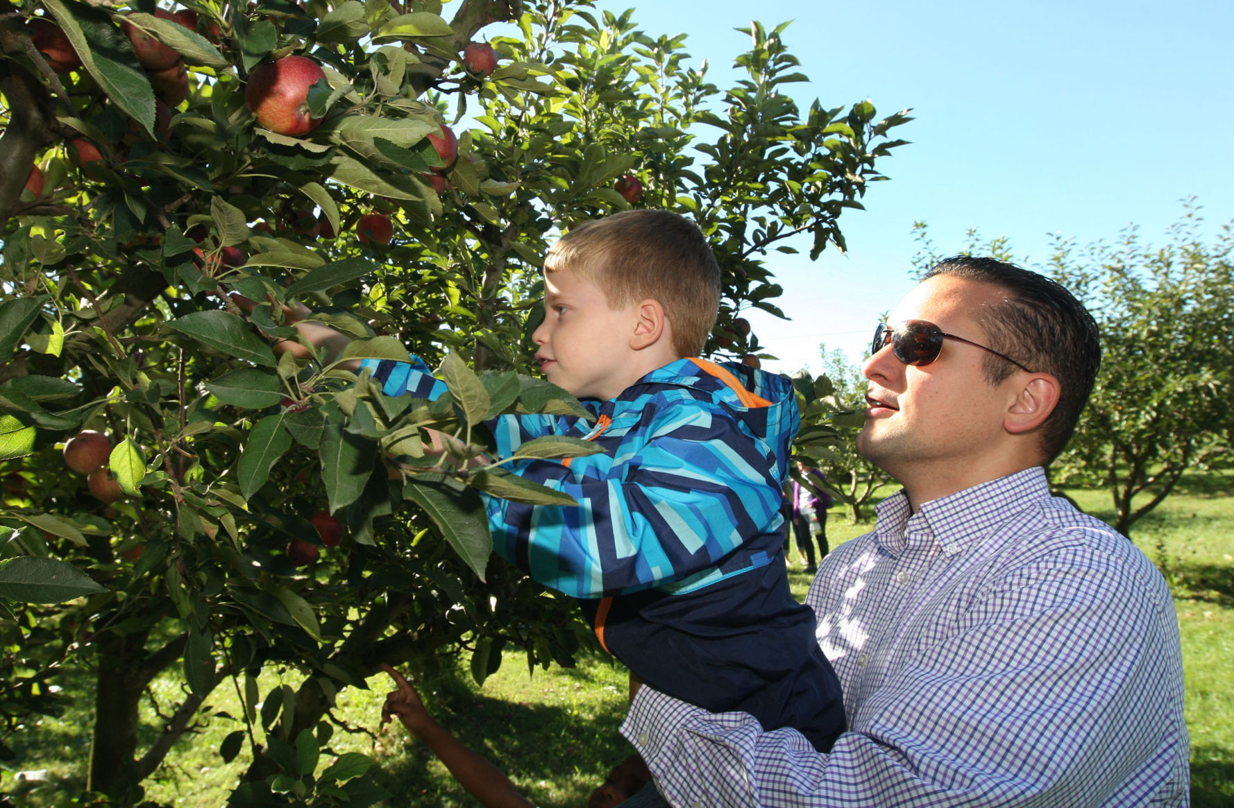 Okaw Valley Apple Orchard